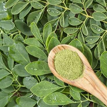 Moringa  Dried Leaves